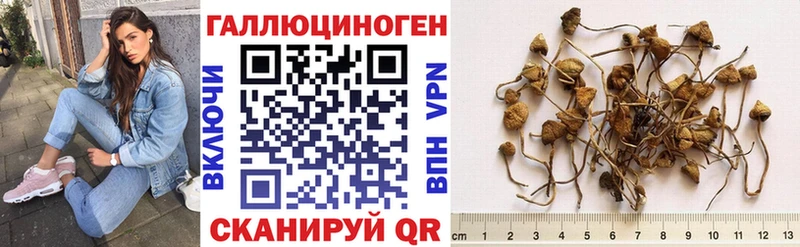 даркнет сайт  omg ТОР  Псилоцибиновые грибы Psilocybine cubensis  Кудымкар 