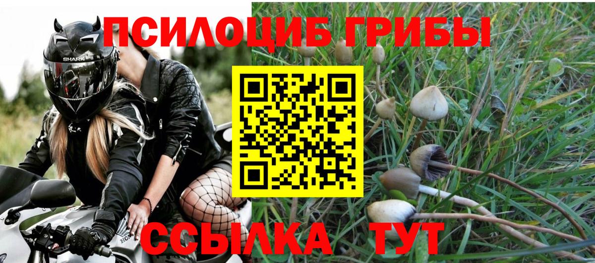 Псилоцибиновые грибы GOLDEN TEACHER Кудымкар